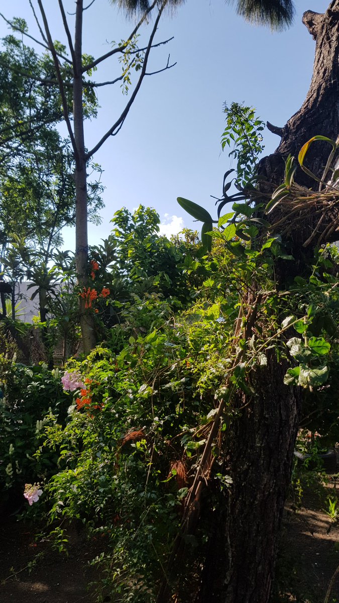 mjhr0112's tweet photo. Home. https://t.co/DFCilJtBel