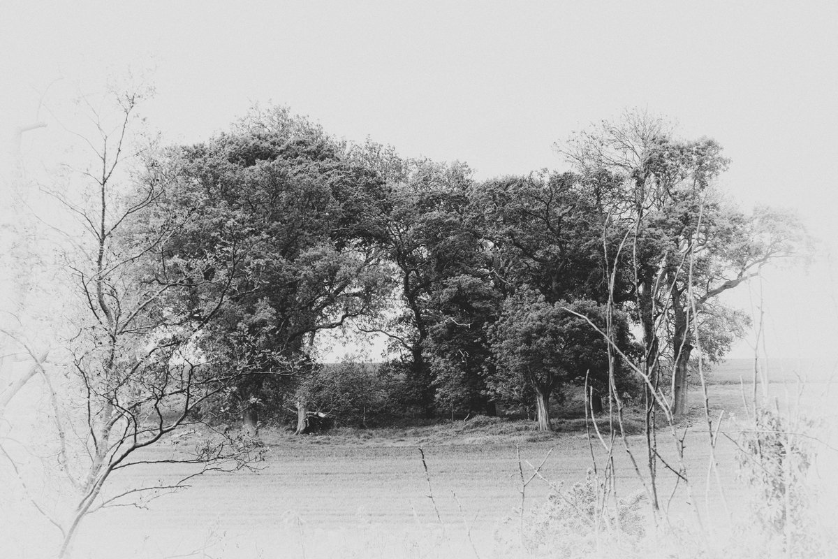 andyradka's tweet photo. Around Helmsley in Yorkshire
#yorkshireinblackandwhite #Yorkshire #blackandwhitephotos #blackandwhitephotography #blackandwhite #blackandwhitephoto #Monochrome #monochromephotography #Yorkshireis #Radka #Pentax #BWPMag #aperturefnd #BlackMinimalism #NorthYorkMoors #Helmsley https://t.co/OTVwllOkSV