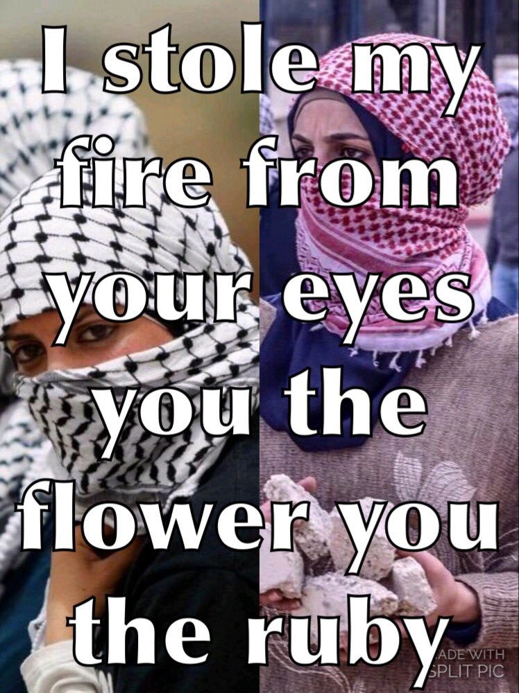 @Marianna_Alleva @Mushtaq9288 @Lina99132 @Ghalianno @Emaan6550 @AJUf3HrKY10SWyY @blazhenstvo9 @coi_papa @AliyaHasan_ @MariamA73000734 @KatSuleman You the flower, you the ruby #WomenOfPalestine #FreePalestine #BDS