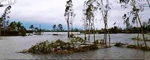 jibesh_upadhyay's tweet photo. No #tag sunderban???? Kiddos to animal lovers of this country,,, only because it's not Australia and amazon,,, its doesn't even matters,,, #hippocarcy at its best,,
#amphanupdates 
#savebengal
#savesundarbannationforest https://t.co/TcMe1GNzi0