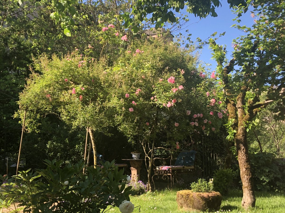 A rose is a rose is a...