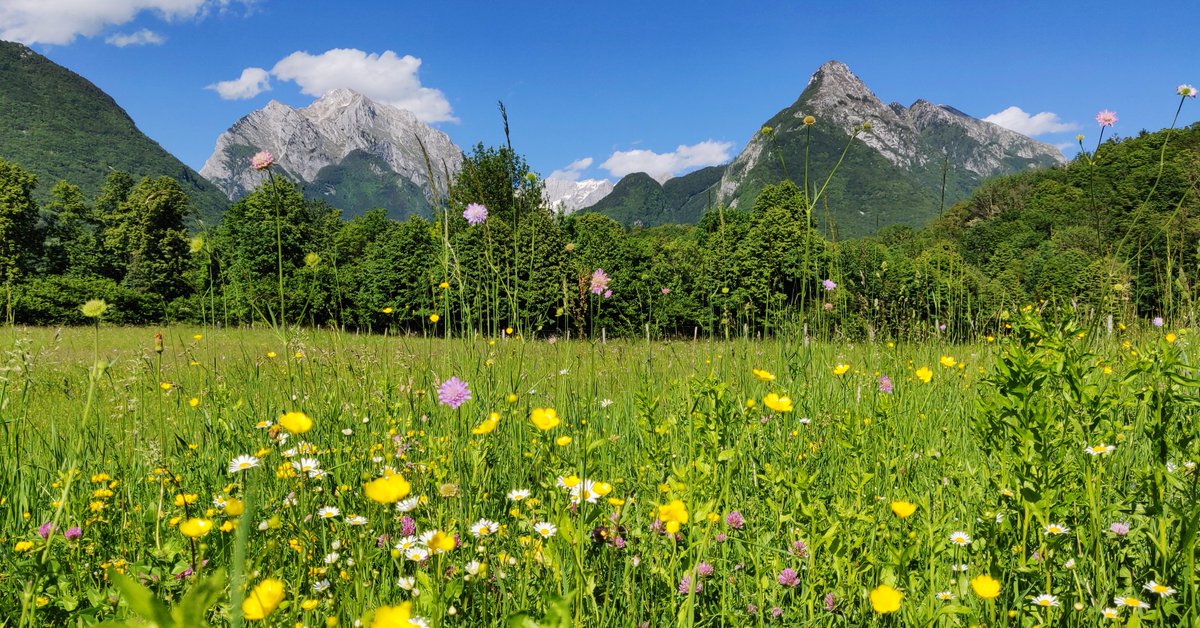 CampVodenca's tweet photo. Escape the city, experience the great outdoors. 🌼🏵️🌸🌺🏞️
#CampVodenca #campingworld #Slovenia #outdoorfun #travelphotography #nature #holidays #ifeelslovenia #socavalley #mountain https://t.co/8qm4ZShFPJ
