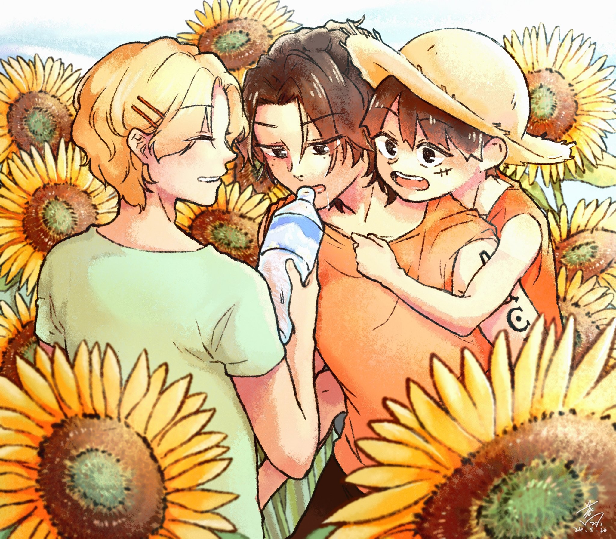 白遙on Twitter One Piece 我覺得畫得最好的是太陽花 3 Onepiece 盃兄弟 盃兄弟の日常https T Co 24hxeiayqt Twitter
