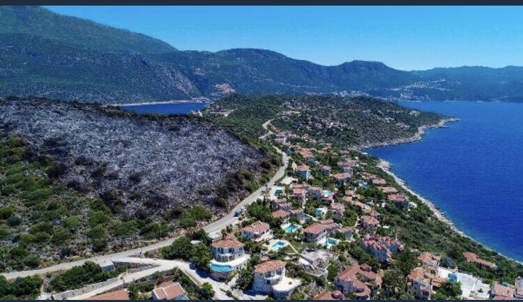 haluklevent's tweet photo. Kaş’ta yanan (yakılan) yer için etiketleyen arkadaşlar!
Ayvalık için Mudanya için ne yaptıysak onu yapacağız merak etmeyin!
İlk işimiz Tarım ve Orman Bakanlığını ziyaret edip fidanlar için gün almak. https://t.co/9gb2gz1Rkp