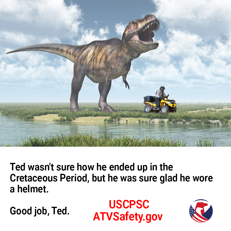 A person named Ted riding very safely away from a tyrannosaurus rex. The text reads: Ted wasn't sure how he ended up in the Cretaceous Period, but he was sure glad he wore a helmet. Good job, Ted.