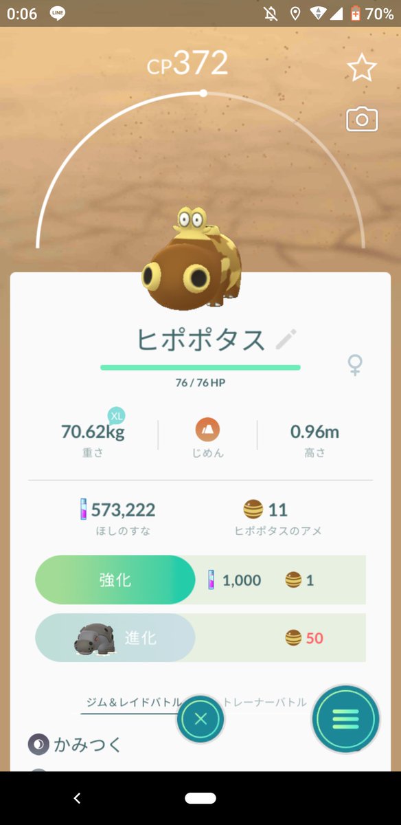 ヒポポタス色違い Twitter Search