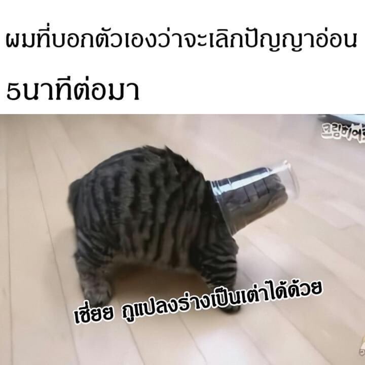 5555555555555555555
