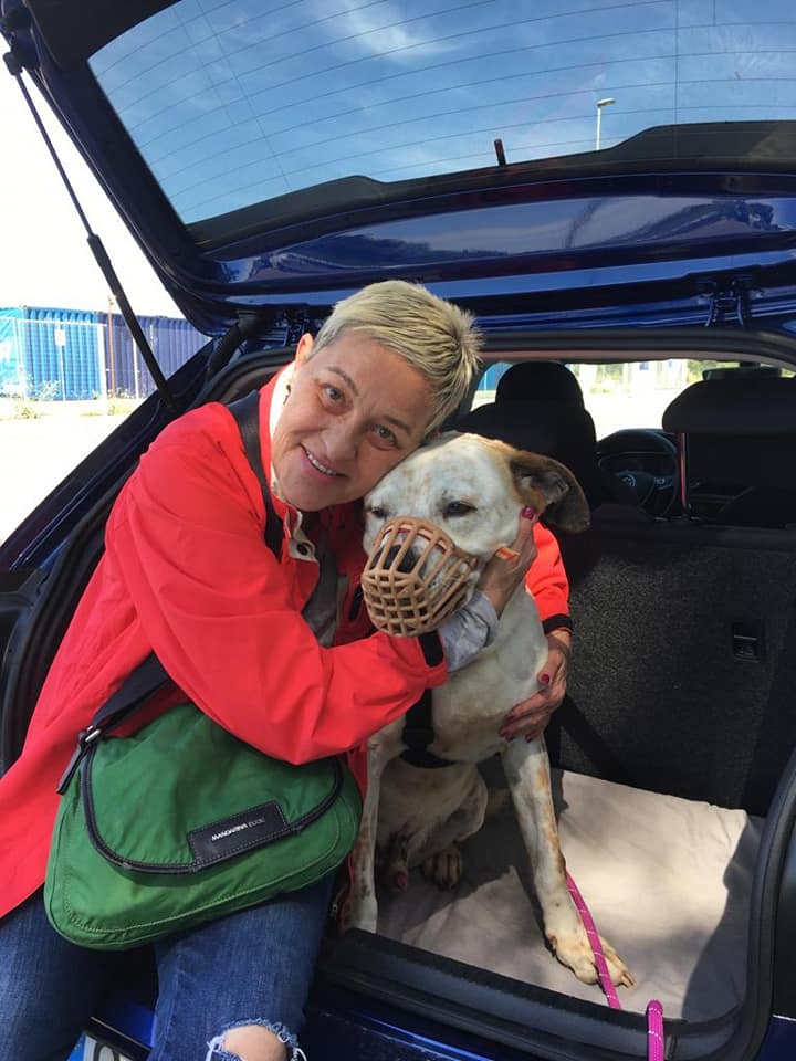 protectorasvpap's tweet photo. Y seguimos con muy buenas noticias, Brookling, ppp, con leishmania y ya mayor, ha encontrado la felicidad, ese hogar que se le resistía, y ese abrazo que solo es el primero de muchos más. Gracias, Carmela, y a disfrutarlo. https://t.co/uHtxSdHR0G