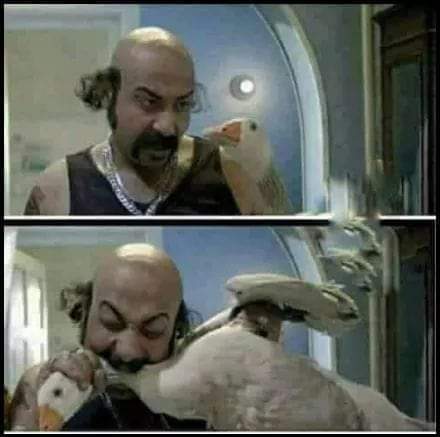 7oda277's tweet photo. @M_esraa92 @manalelashry2 https://t.co/nEhEHZqMcS