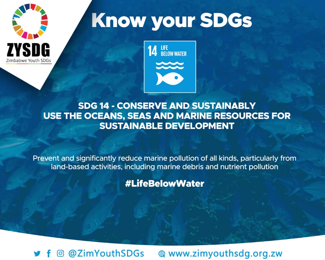 #KnowYourSDGs

SDG 14: Conserve and sustainably use the oceans, seas and marine resources for sustainable development

Prevent and significantly reduce marine pollution of all kinds, particularly from land-based activities, including marine debris and nutrient pollution