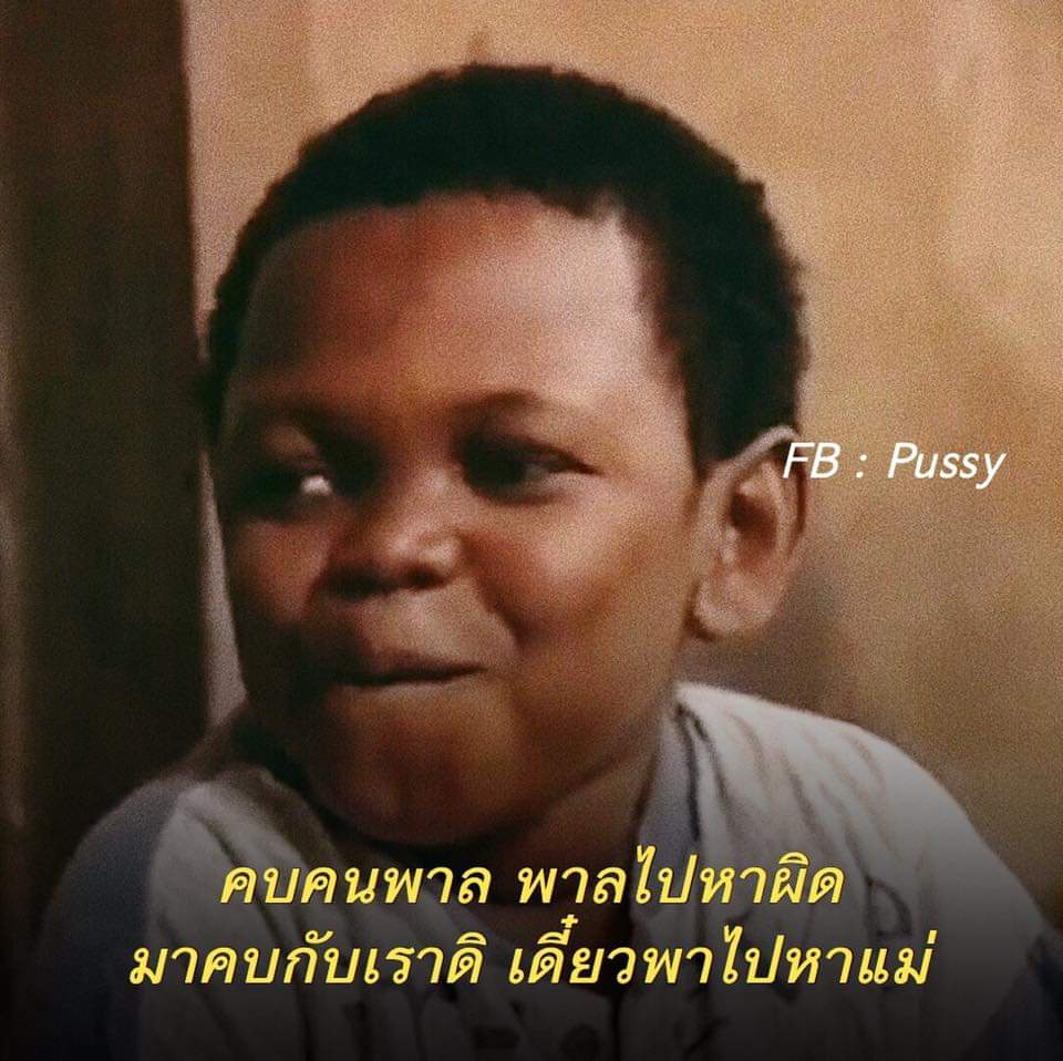 คุณนายโฮนามสกุลโชซอน tweet media