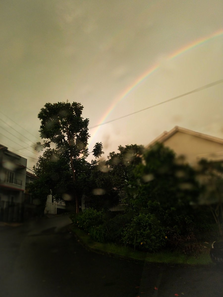 mangican's tweet photo. 🌈
Habis badai terbitlah rainbow https://t.co/cFdpwi7ytd