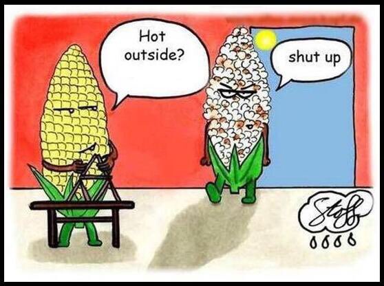 .<a href="/NWSBayArea/">NWS Bay Area 🌉</a> is predicting a hot week ahead! When temps rise, always make sure you stay hydrated, give your pets plenty of water, never leave kids or pets in hot cars, and don’t forget that sunscreen! For heat safety tips visit <a href="/NWS/">National Weather Service</a> at weather.gov/safety/heat. #HeatWave2020