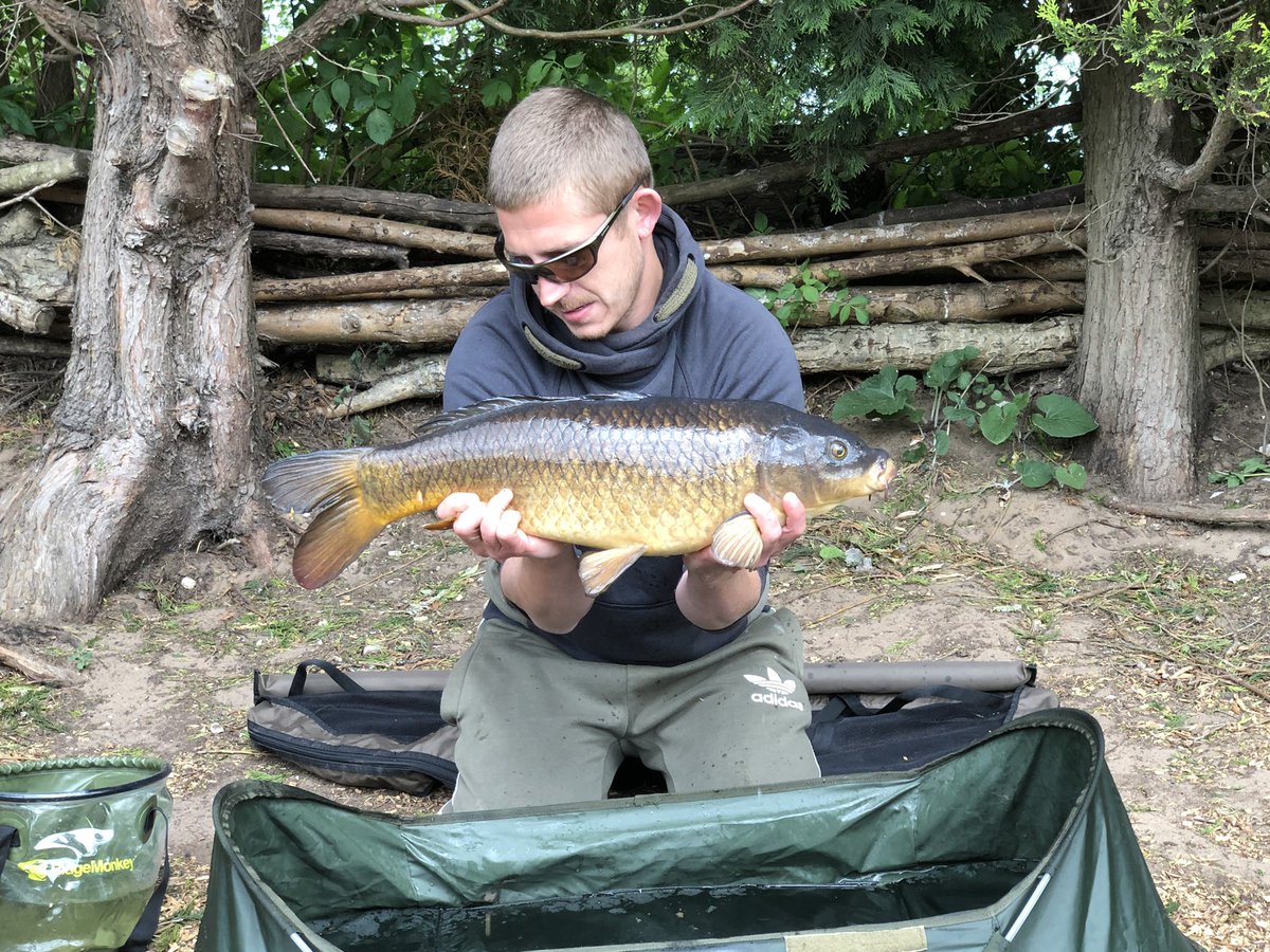 Dannymarf's tweet photo. Struggled with it this weekend with only the one to show but on a whole a very good 1st trip to winterley pool 🎣 #carp #fishing https://t.co/52cNoqb6Ws