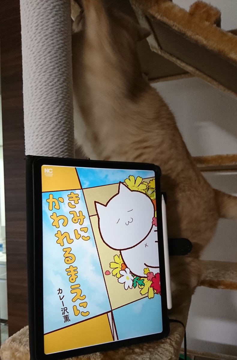 5日くらい前に買ってまだ読めてない。Twitterで回ってきたサンプルの伽悪栖を読んで泣かなくなったら読もうと思うけど未だに全然ダメ。まだ資格がない。早かった、足を踏み入れられない 