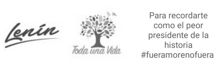 lucero_cecilia's tweet photo. @pameaguirre1 @MashiRafael @RubenLoor16 @DDavidVillamar @forajida57 @johaortizv @VivanaVeloz1 @amapolanaranjo @EmilyVeraA_ @LuisaGonzalezEc @alexandrarevolu @hijodeabel #FueraMorenoFuera https://t.co/n2LXGKweFU