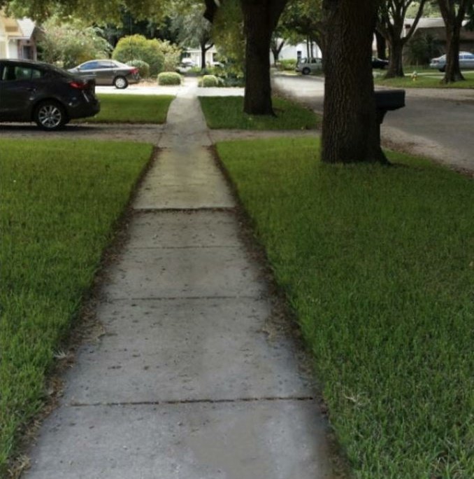 rodney_kun's tweet image. twitter is wild because I can just post this with no context and everyone knows