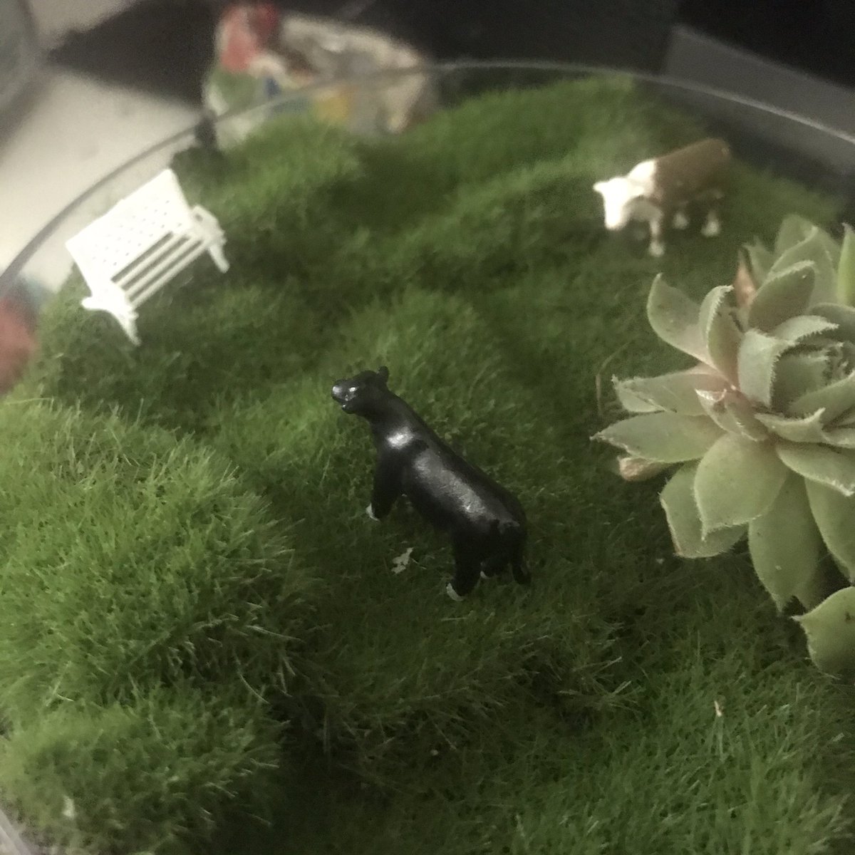 Here it goes. This is just a tiny cow & bench garden
