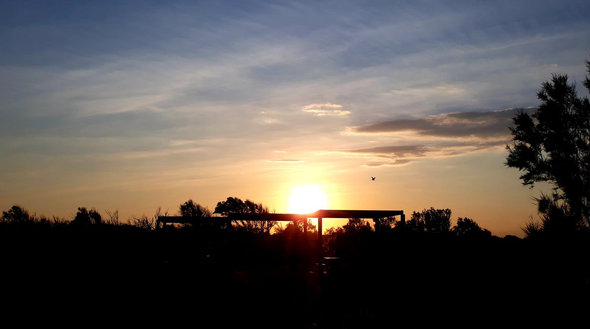 ReplicanteBueno's tweet photo. Pues así se esconde el Sol en el #ParquesNatural de la #DevesaDelSaler.
Valencia. https://t.co/8jDqgWEpvA