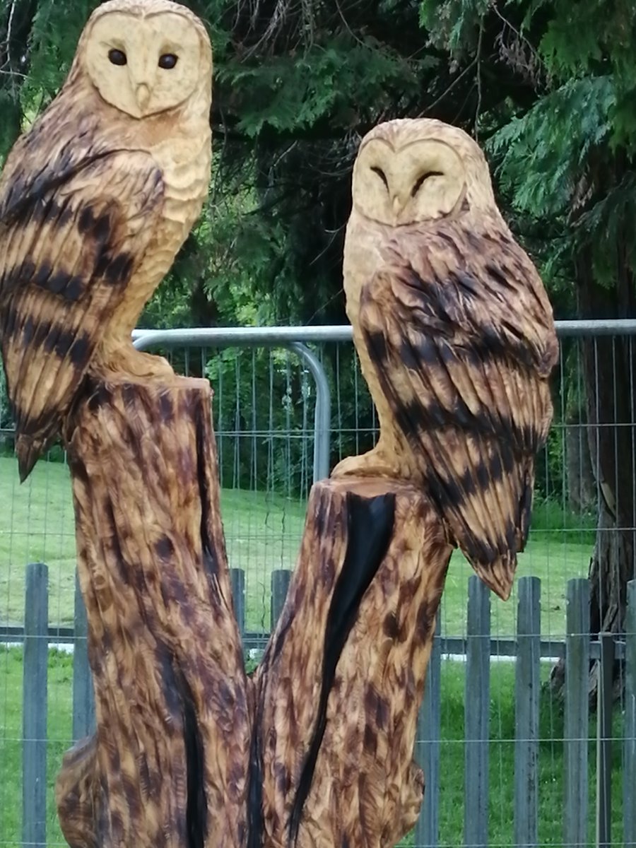 EmmetStack's tweet image. 