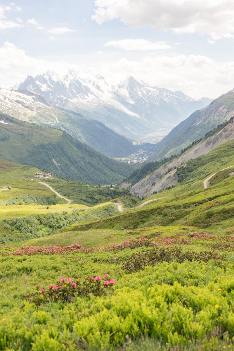 CNTraveler's tweet photo. Currently dreaming about France's spectacular lavender fields, castles, and mountains. You? https://t.co/fedn6gY6yg https://t.co/GQatDGZj4L