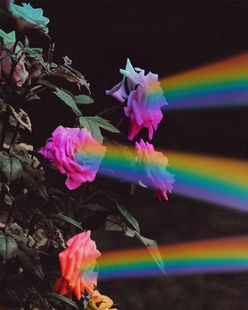 Louis Vuitton on X: Vectors of hope. #LouisVuitton shares a message of  positivity around the world by inviting members of the community to  creatively interpret the rainbow. #LV🌈 Image by Indigo   /