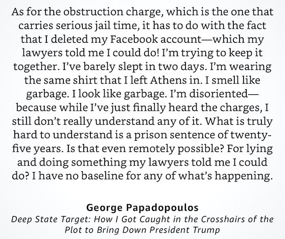 The overall effect on the disorientated  @GeorgePapa19 appears to have been profound. He describes in his book how he took the “serious jail time” threat seriously, fearing spending *25 years in prison.* Note: he'd never even been arrested before & had no Counsel present to help