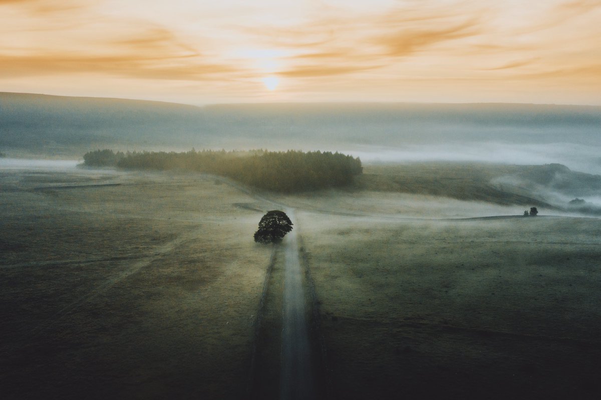 DanielCasson1's tweet photo. Fog on the farm // https://t.co/0hLi0jMqEb