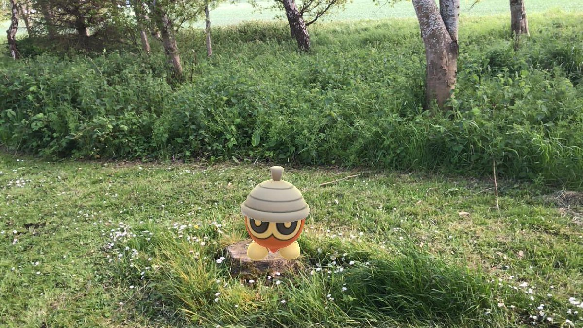 DonzaRS's tweet photo. #PokemonGO #PokemonGOCommunityDay #Seedot #ShinySeedot #ShinyShiftry #ShinyPokemon #GOsnapshot https://t.co/K6oPomKWNA