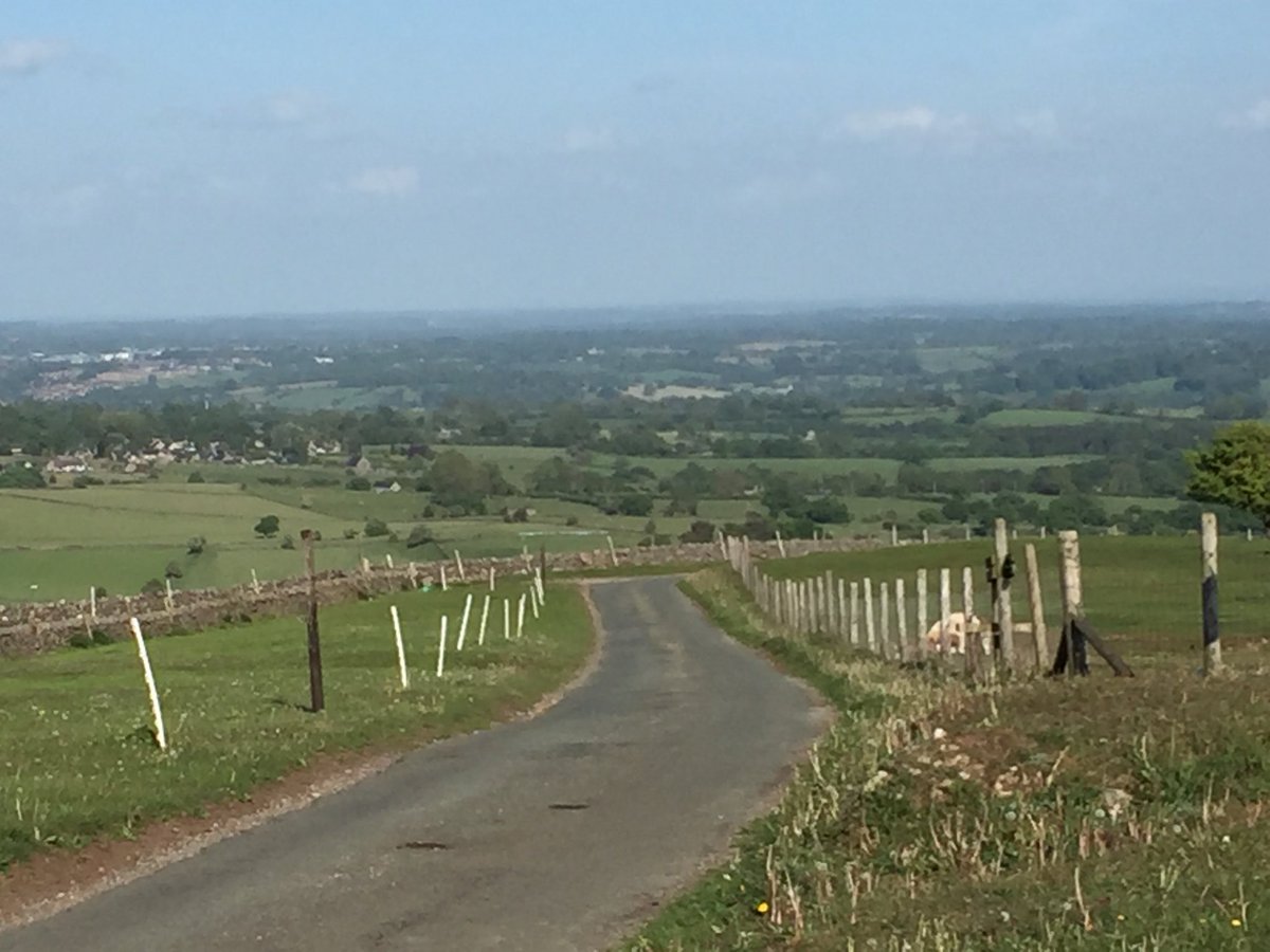 David Grady tweet media