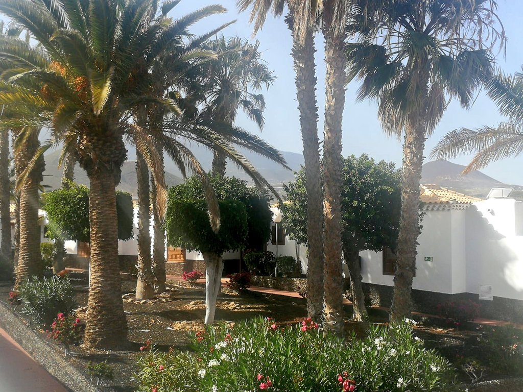 Marialuisagarec's tweet photo. #Volveremos para que pueda #disfrutar de #relax, #descanso #diversión y #sentir la #felicidad #hospedandose en nuestros #apartamentos #Royaltenerifecountryclub #alojamiento #covidsafe #airelibre #freshair #terraz #Eligetenerife #Turismolocal #Canarias #wellbeback #Diamondresorts https://t.co/t0o9dAL0z3
