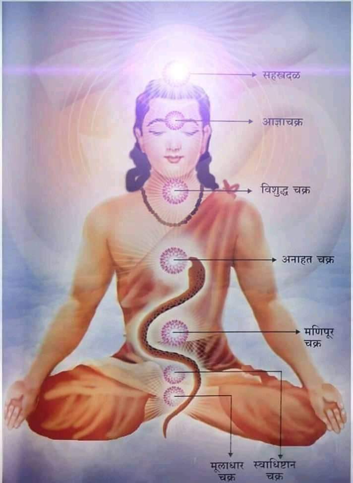 आयुर्वेद और भारतीय पारंपरिक औषधि विज्ञान के अनुसार शरीर में सात चक्र होते हैं। जिन्हें सप्त चक्र या ऊर्जा की कुंडली भी कहते हैं। सामान्यतः क्रमशः तीन चक्र भी किसी व्यक्ति में जागृत हो तो वह व्यक्ति स्वस्थ कहलाता है।