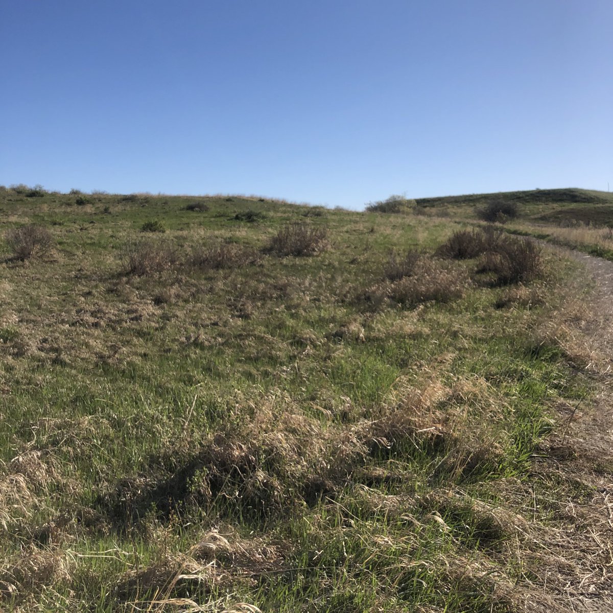 larissa_speaks's tweet photo. Went out today with it in mind that I had to do 1km for every hour I’m working today. Might make a hobby of that. Not the weekend working, the 1km/1hr of work thing a couple times a week #workhealthbalance https://t.co/XyKs5j2gQ2
