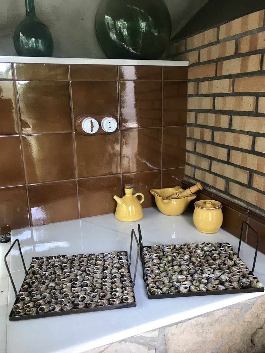 LluisBoldu's tweet photo. Aplec del Caragol 🐌          Confinat😷 #Butsènit #aplecacasa #AplecLleida2020 #caragol #AplecCaragol #SomFecoll #Lleida #HortadeLleida @PostureigLleida @AplecCaragol https://t.co/KO9Dr0J6ae