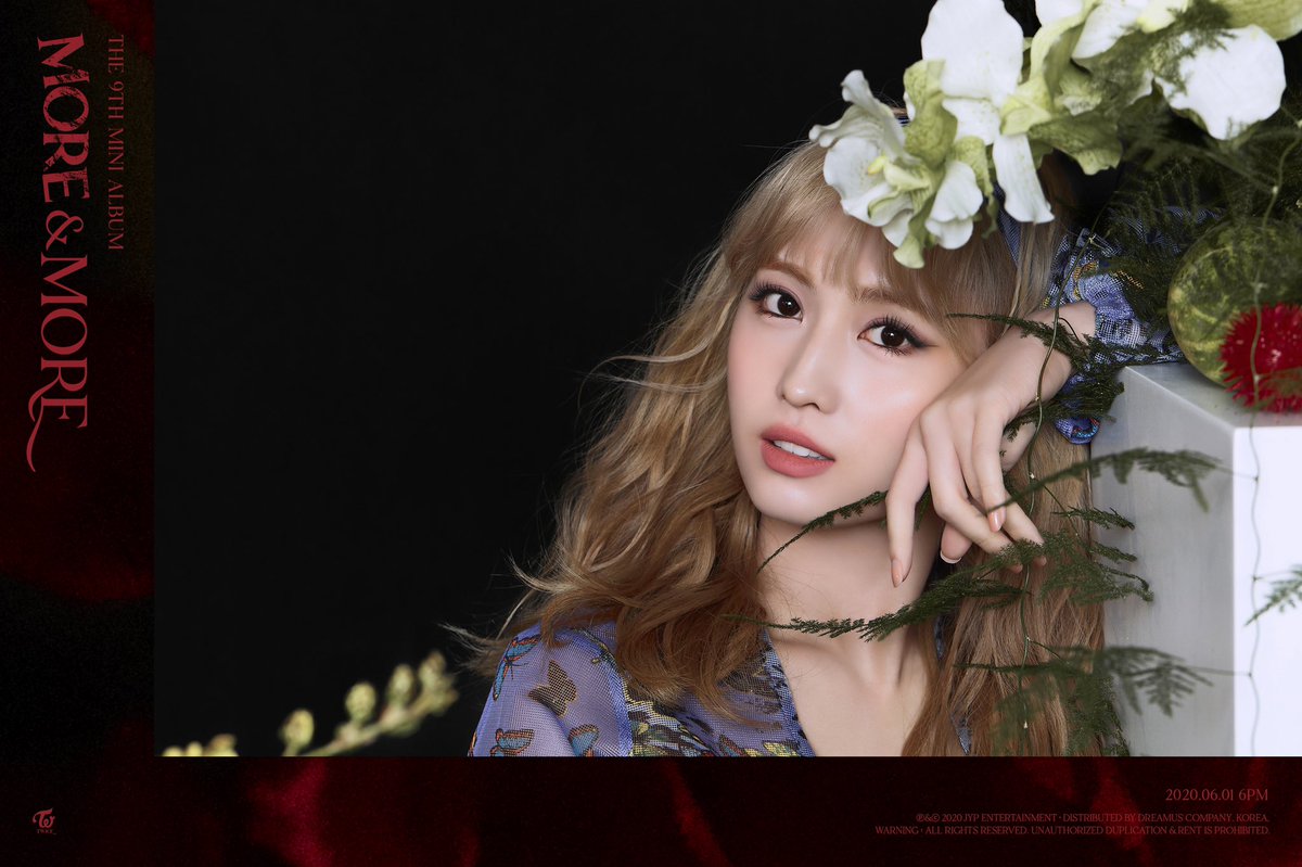Twice Spain No Twitter Comeback More Amp More Momo Concept Photo Moreandmore Twice Momo Moreandmore T Co Feddta4fos Twitter Twice Spain No Twitter Comeback More Amp More Momo Concept Photo Moreandmore Twice Momo Moreandmore T Co Feddta4fos Twitter