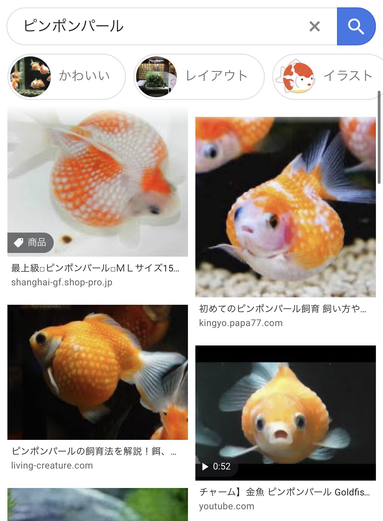 超学生 湯月凜空 Yo Mu いいわけないだろピンポンパールと呼んでいい歌い手一人もいないからな Twitter