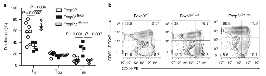 mmw_lmw's tweet photo. #CD8_TissueResident #Memory_T_cells | generation promoted by Type 1 #Treg cells | Marc Veldhoen @medicina_lisboa @NatImmunol https://t.co/VAsJtIobpY https://t.co/foTysHog7H