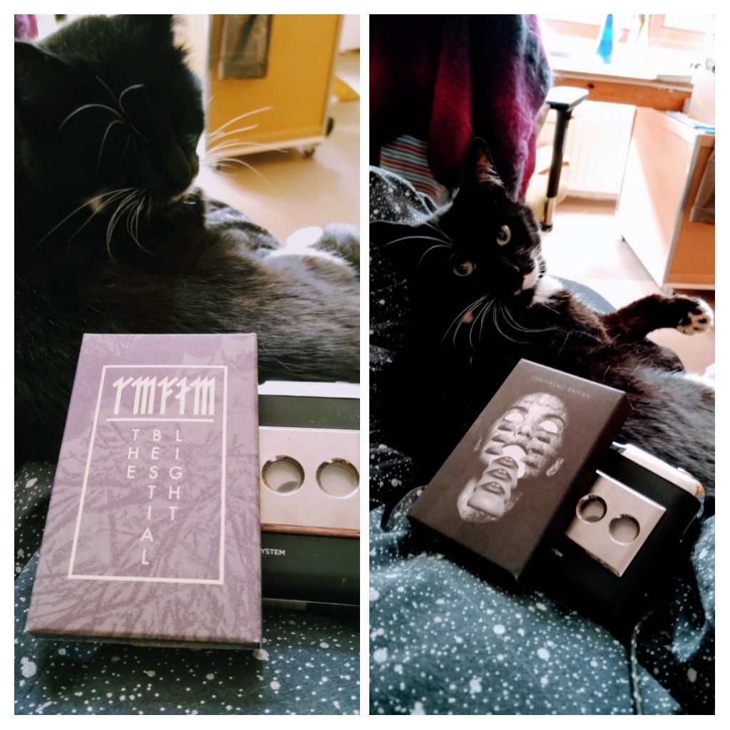 stijnfest616's tweet image. Excellent additions to my expanding cassette collection, big up to #TartarusRecords #StayAnalog