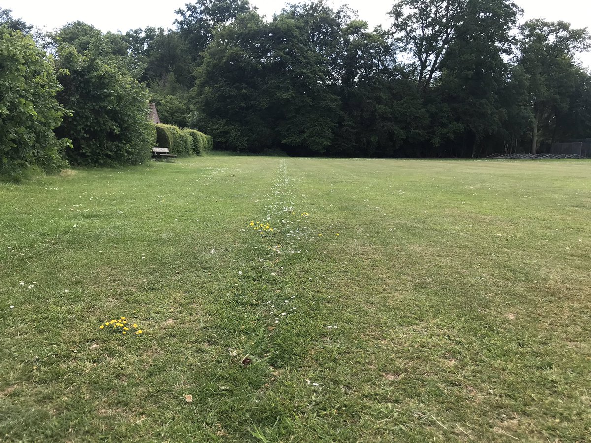 GetRid_GetRid's tweet photo. Listening to the sound of football not happening at checkendon Playing Fields. Daisies mark the faded touchline. #footballnothappening #lockdownprojects https://t.co/Zj9li76Aqp