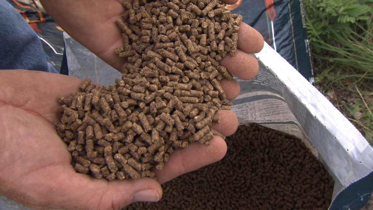 OutdoorActionTV's tweet photo. Are you using the best feed you can? Check out Record Rack Deer Feed and learn more about them in our hunting clips! #deerfeed #hunting #huntingclips #outdoors #streaming #roku #amazonfire #appletv https://t.co/GCF7F95HDq