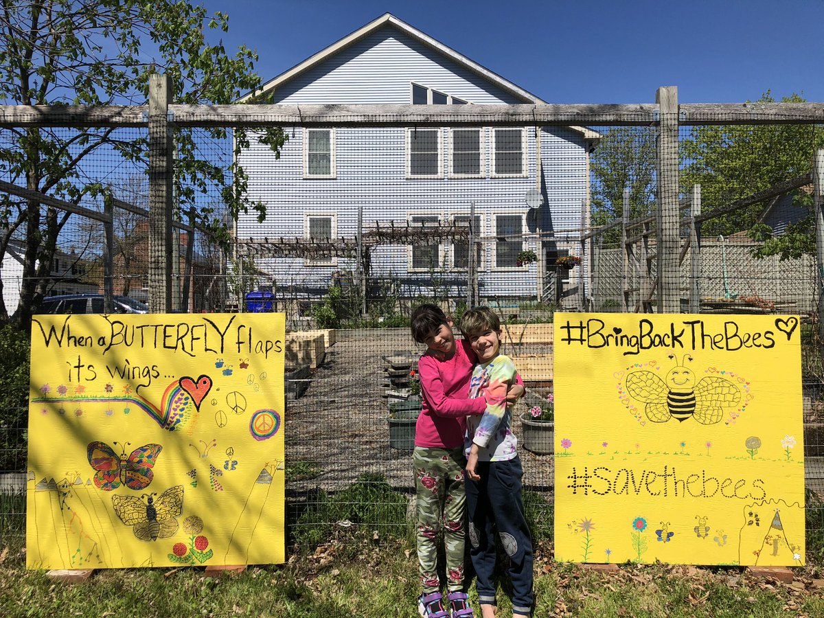 When a butterfly flaps its wings in St Andrews NB, love and peace is felt around the world!! #savethebees #bringbackthebees and this year also the butterflies 🌈