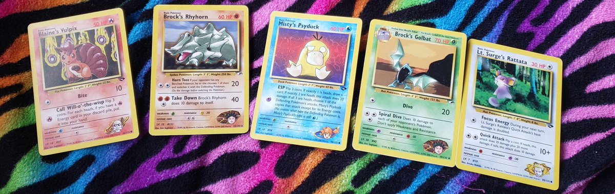 gym leader's pokemon!!i just think these cards are cool!!!!