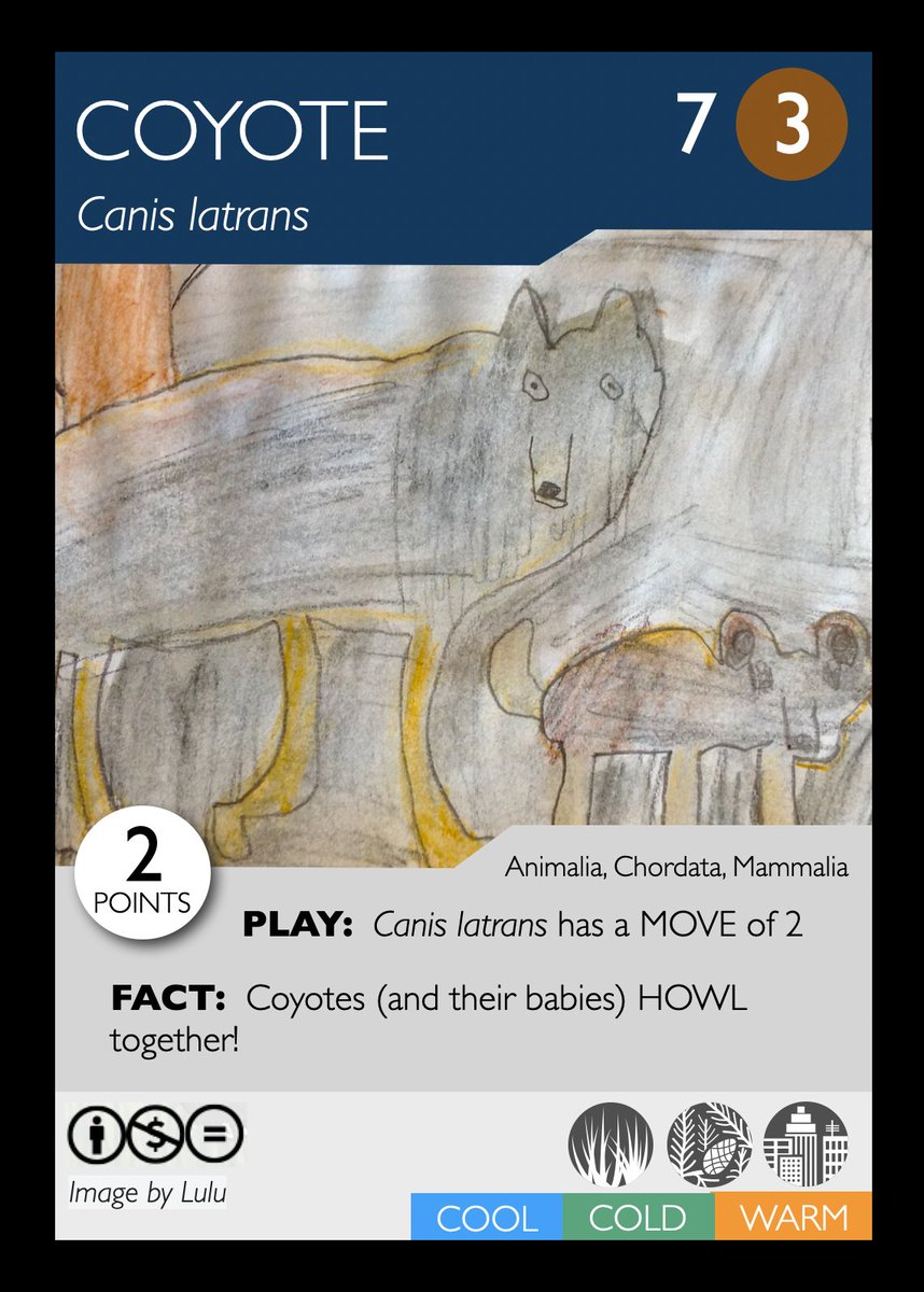 phylomon's tweet photo. Want to make your own BIODIVERSITY card game?  It's easy and here's how!

https://t.co/P87oT7Ge8v https://t.co/GaT7vH4mnB