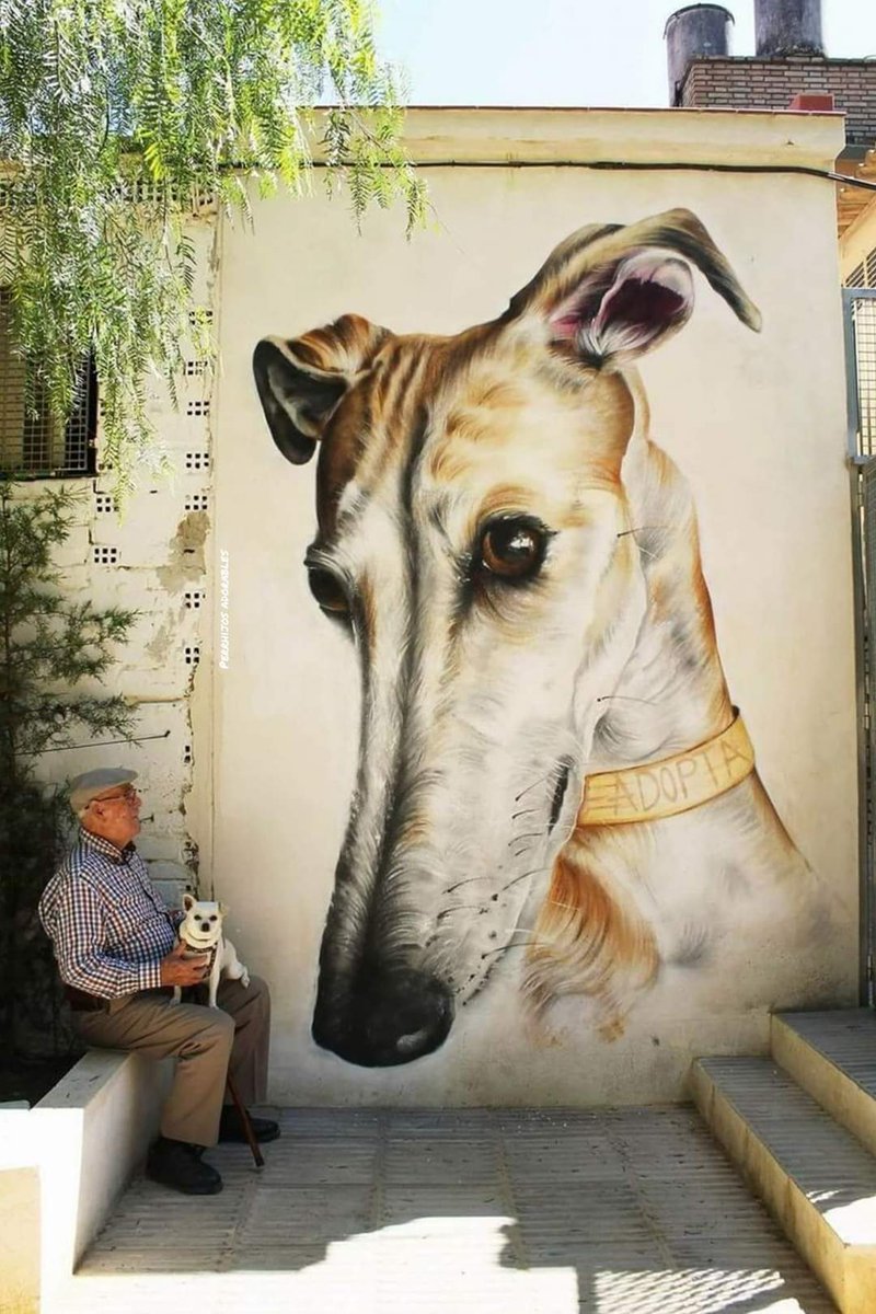 VetsCanal's tweet photo. Queremos murales así en todas las ciudades! https://t.co/JrqYLivOCm https://t.co/C8iLzAD8G5