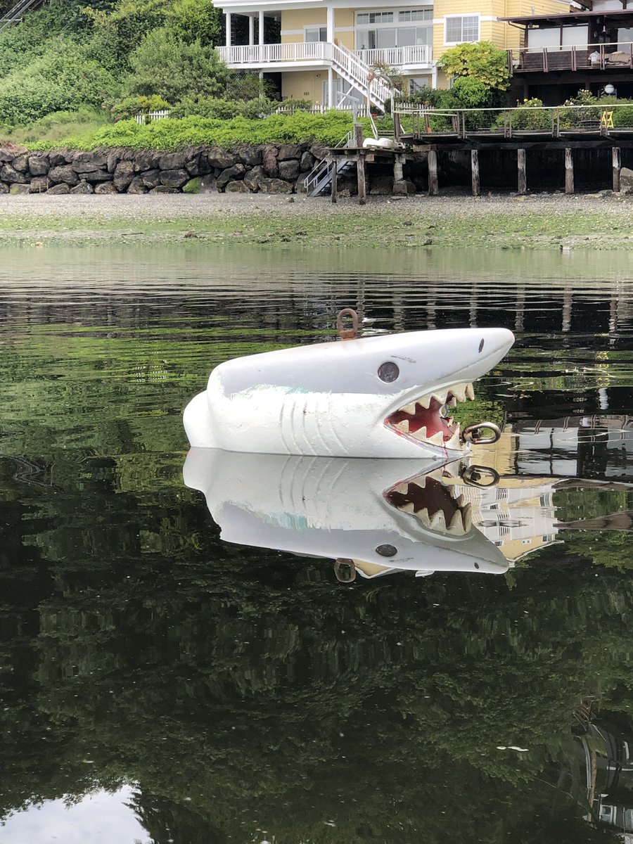 PatCodes's tweet image. Kayaking