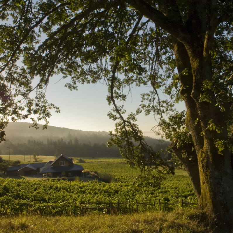 #BCTourismWeek officially starts today! From now until May 30th let’s make a concerted effort to recognize why tourism matters in communities across our region.

📍 Garry Oaks Winery (is currently closed), Salt Spring Island
📷 Destination BC/Andrea Johnson
#TourismMatters