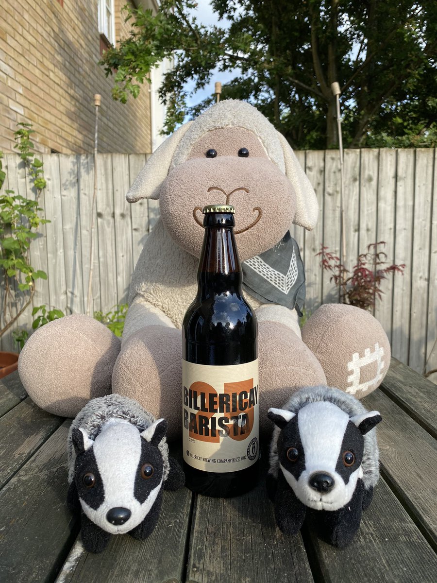 Tonight we’re tasting Billericay Barista by <a href="/BillericayBrew/">The Billericay Brewery</a>. With a name like that there’s sure to be coffee, and I know <a href="/BellaandBarty/">Bella and Barty</a> love coffee. We’re also being helped by Bentley who came to us from Essex #petespints 🍺🍺🍺🐏🦡