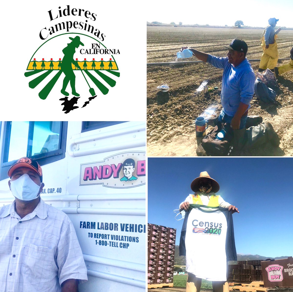LCampesinas's tweet image. Thanks @hedleyandbennett more farmworkers are #maskedup ! Thank you Anne Irvine  @FamDoc_Forest and all the doctors for collaborating with us! Please co-sign our letter! liderescampesinas.org/corona-virus/l… #alwaysessential #hedleyandbennett #centralcoastfieldsstrong #takeittothefields