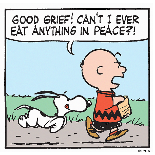 Snoopy's tweet photo. My dog during every snack and meal… https://t.co/aVNeQXWDae