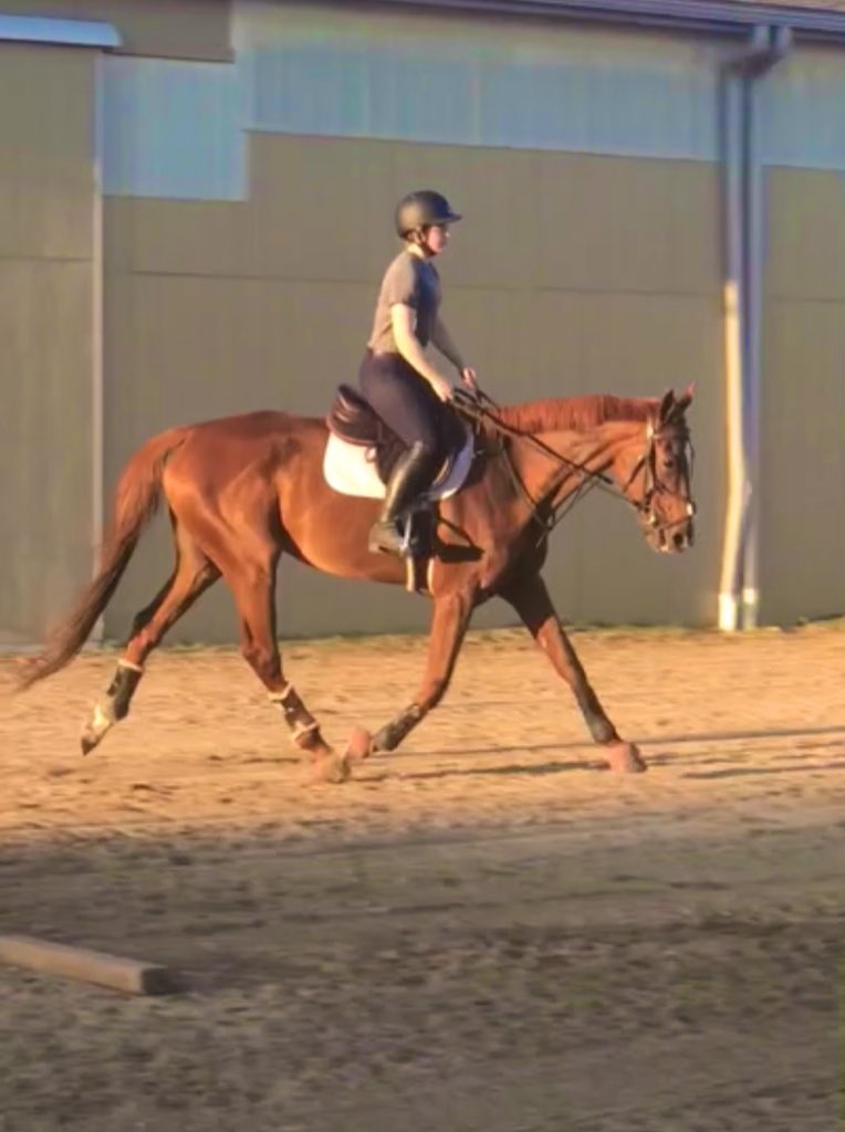 Oldie but a goodie. I mean good lord horse, can you use your hind end a little more 🤩